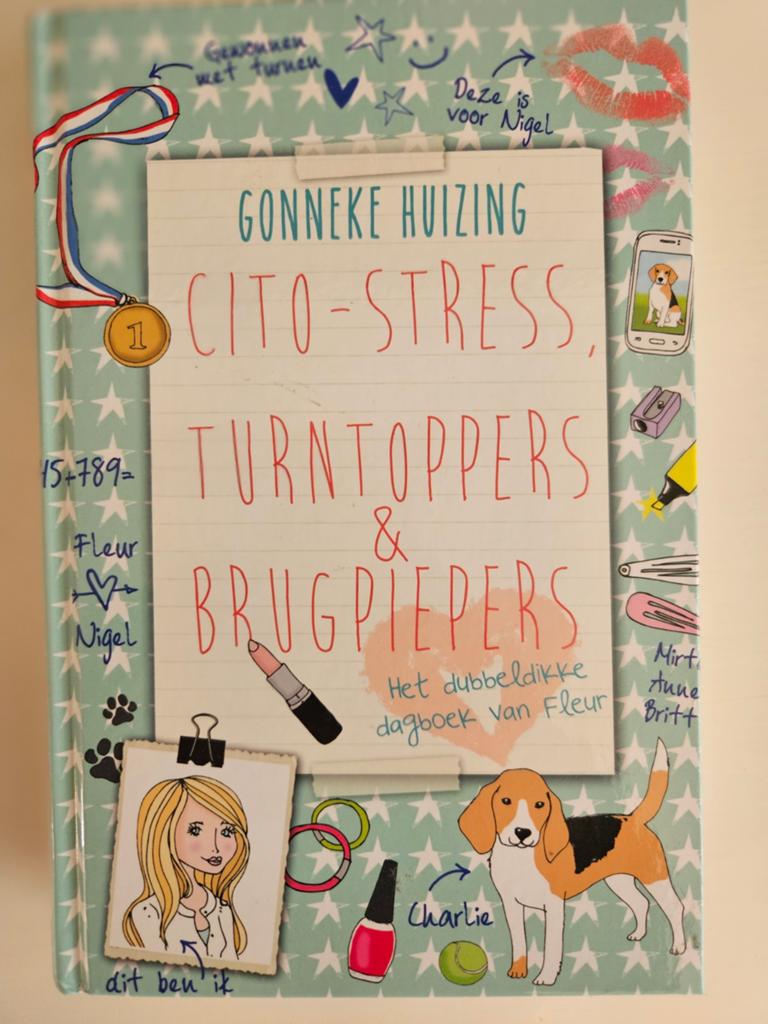 Gonneke Huizing - Cito-stress, turntoppers en brugpiepers, Boeken, Ophalen, Zo goed als nieuw, Gonneke Huizing