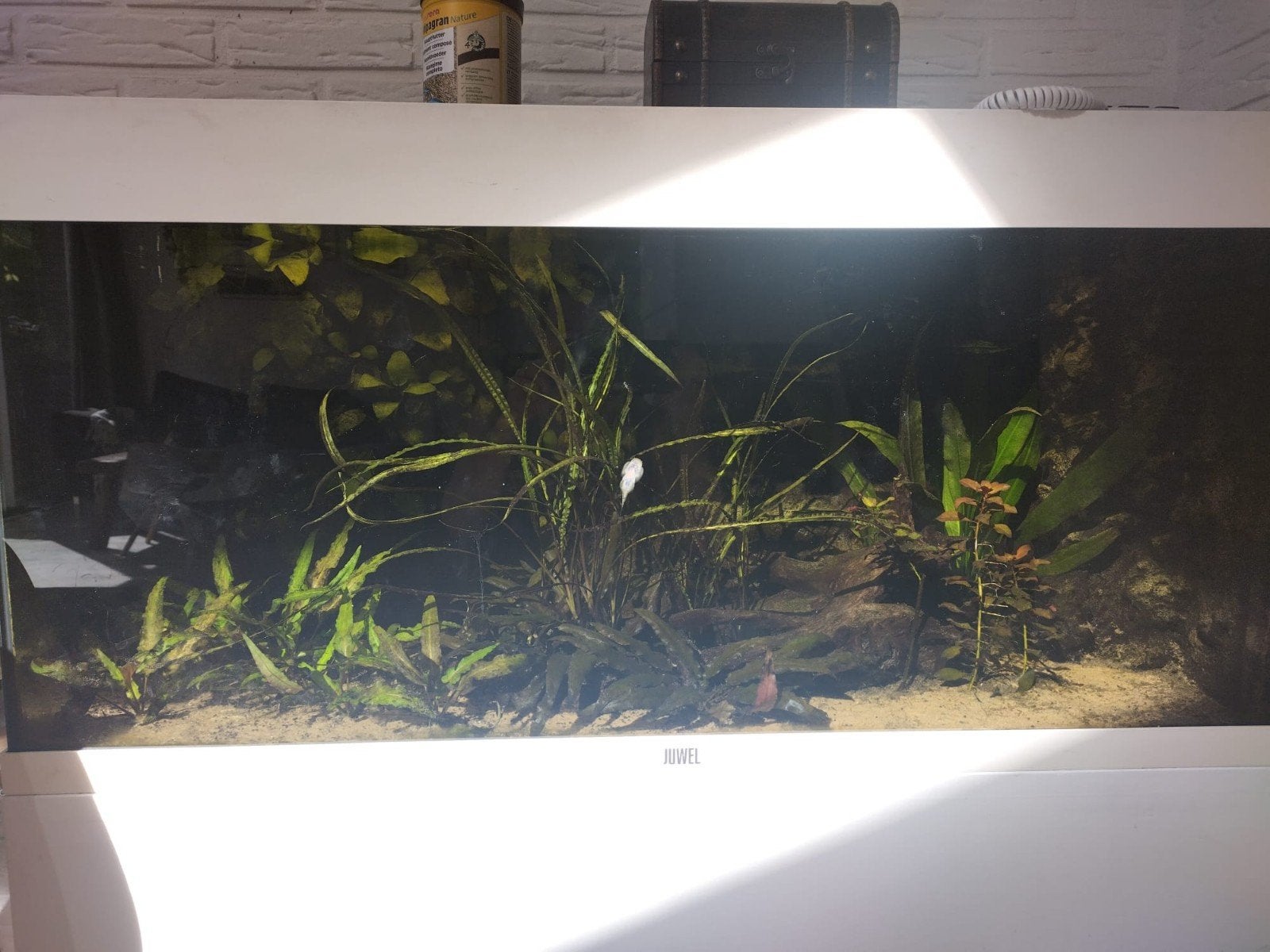 Aquarium (Juwel), Ophalen, Gebruikt, Gevuld zoetwateraquarium, Verwarming