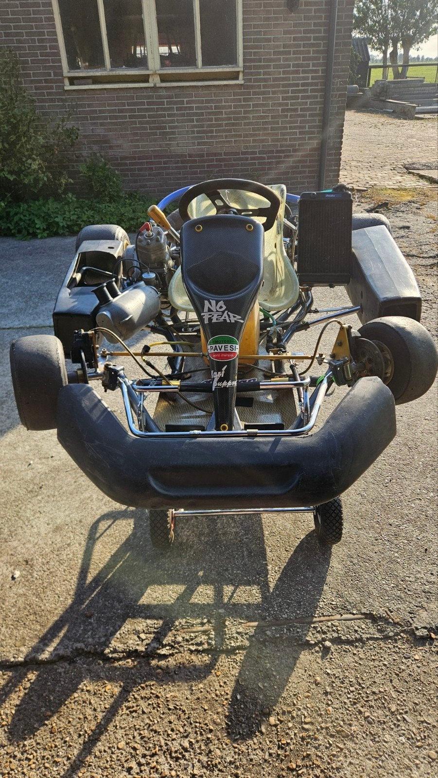 sodi shakelkart met pavesi motor, Ophalen, Kart