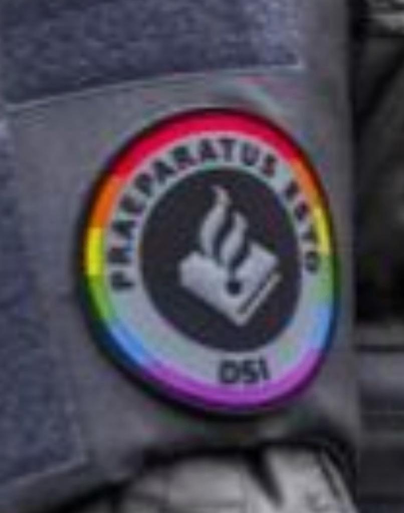 Gezocht & te ruil DSI - embleem pin coin schildje t-shirt, Ophalen of Verzenden, Overige soorten, Nederland, Embleem of Badge