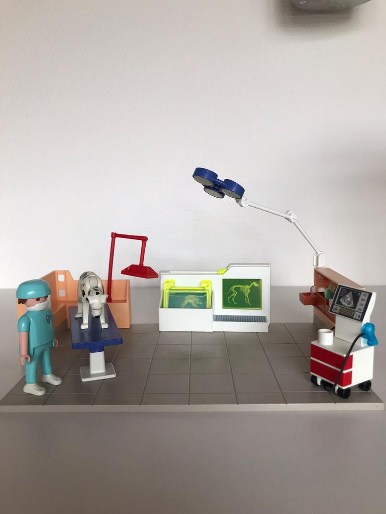 Playmobil Dierenkliniek met Dierenarts en Hond, Ophalen of Verzenden, Gebruikt, Jongen of Meisje