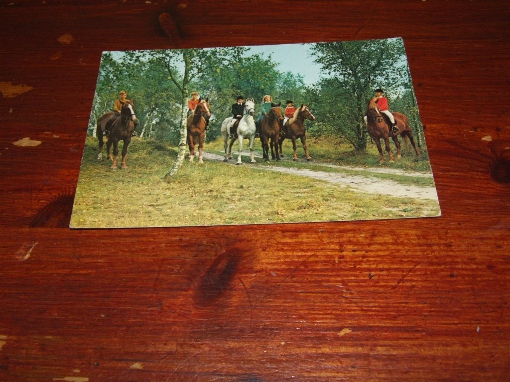 A133- Oude ansichtkaart: Ruiters te paard in Drenthe, Verzenden, 1960 tot 1980, Gelopen, Paard