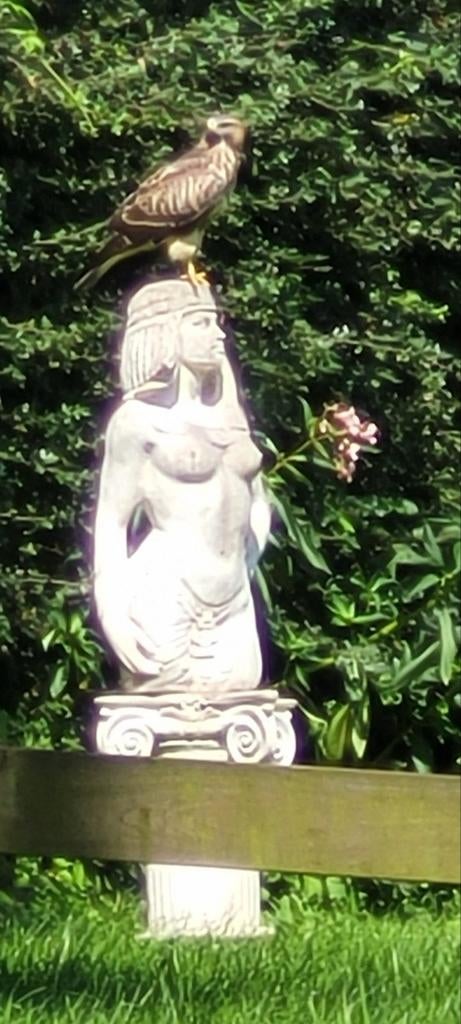 Tuinbeeld Arr deco Cleopatra beton jaren '20 met pilaar, Tuin en Terras, Tuinbeelden, Ophalen, Zo goed als nieuw, Beton, Mensenbeeld