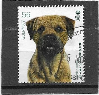 Guernsey 2023 The Kennel Club 56p, Verzenden, Gestempeld