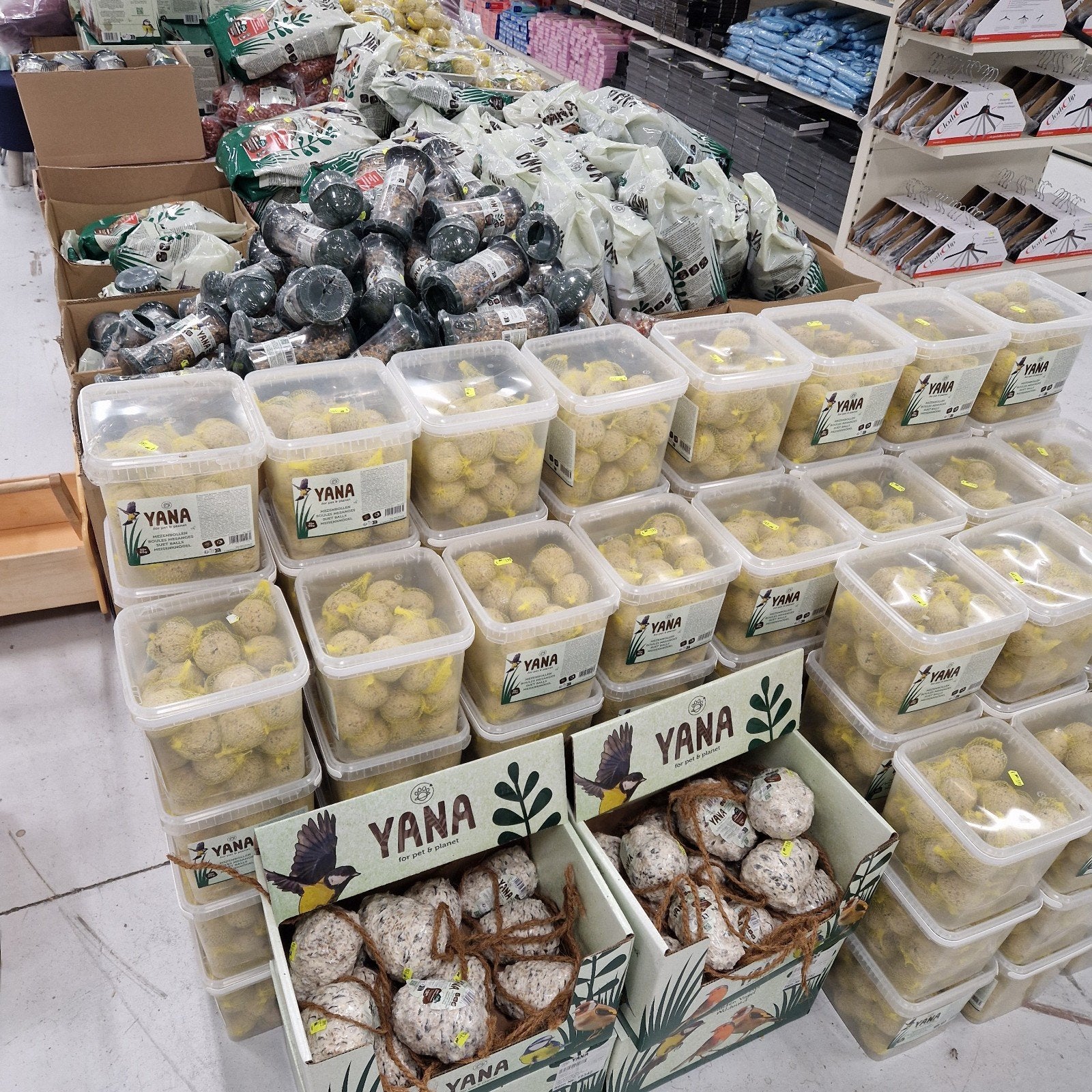 vogelvoer yana spotprijzen op=op Maxx assen, Dieren en Toebehoren, Ophalen, Vogel