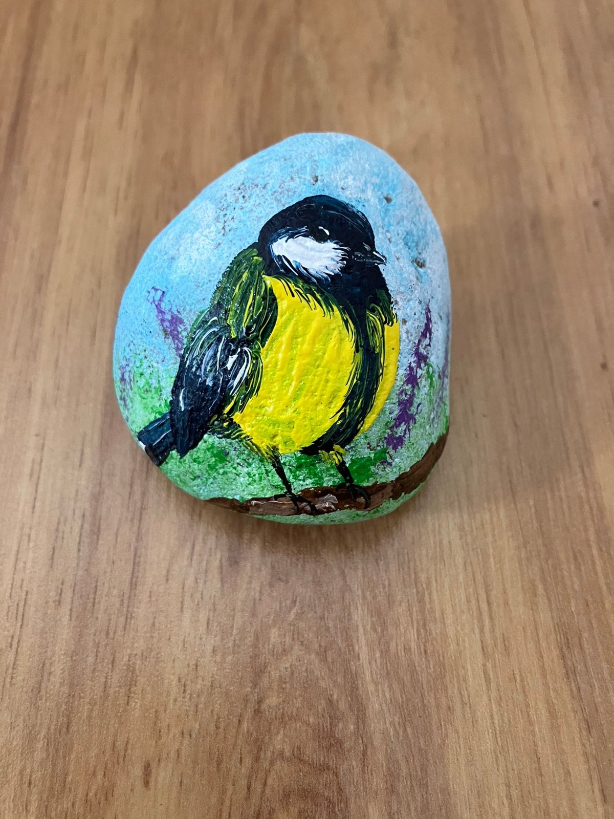 Hand beschilderde steen koolmees vogel, Ophalen of Verzenden