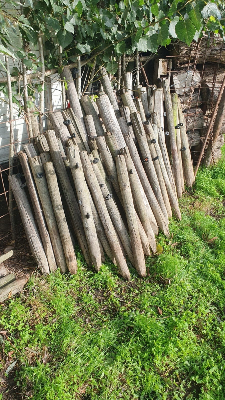 Gebruikte houten palen voor afrastering, Tuin en Terras, Ophalen, Gebruikt, Minder dan 180 cm, Palen