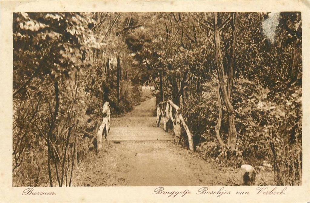 388-474-013 Bussum Bruggetje Boschjes van Verbeek, Verzamelen, Verzenden, Voor 1920, Noord-Holland