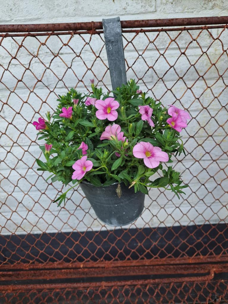 Plantenhanger,tuin,balkon,landelijk, Ophalen of Verzenden, X, X, X