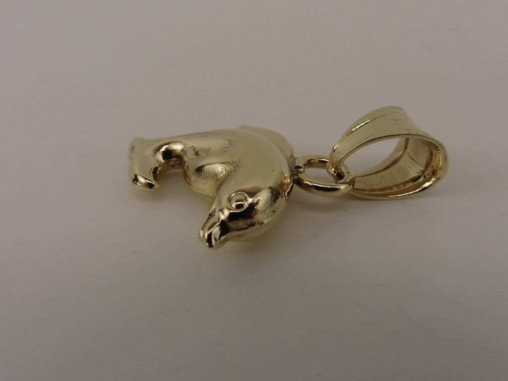 Gouden hanger dolfijn                                    G47, Gebruikt, ., Ophalen of Verzenden, .