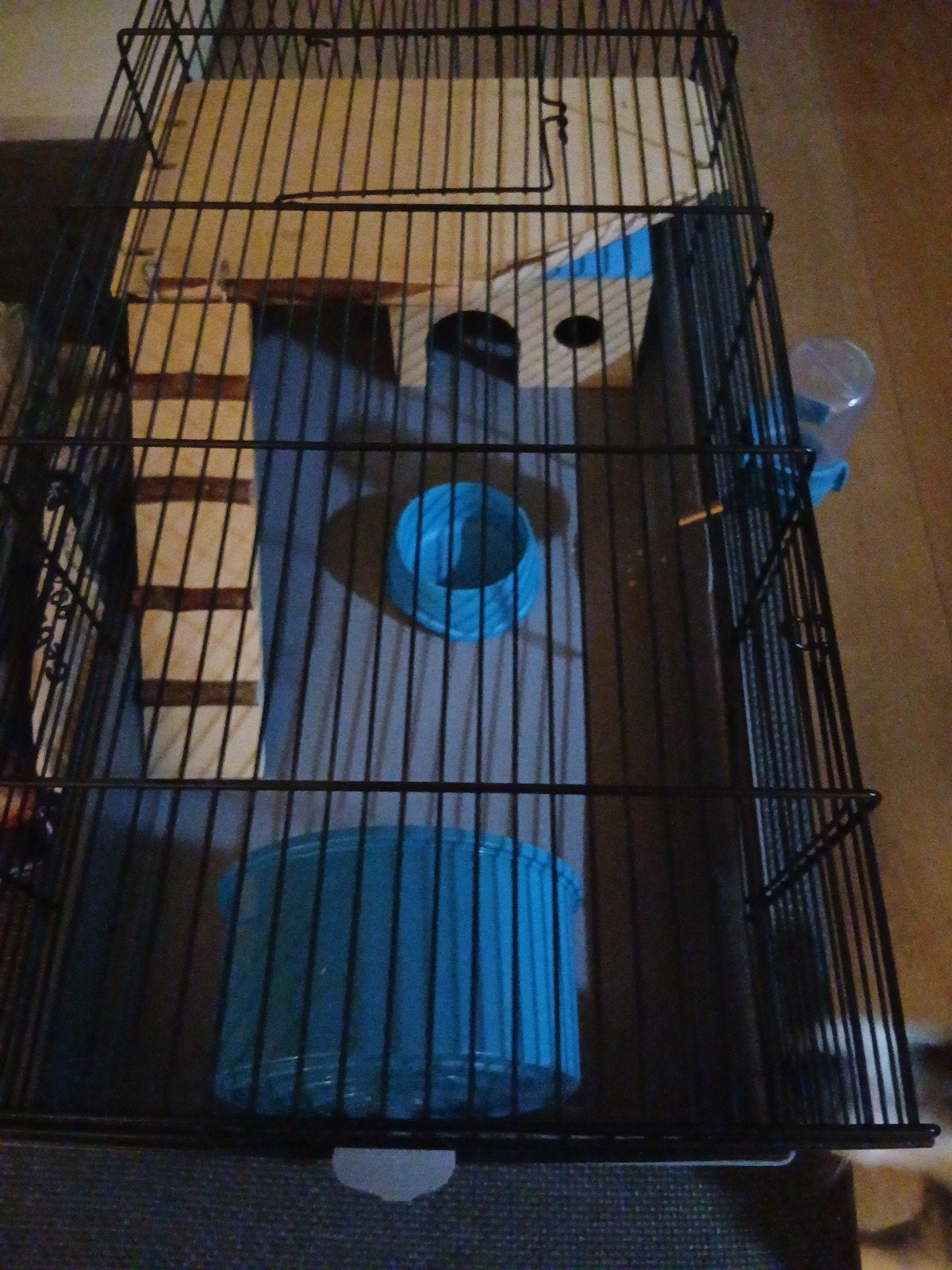 Nette Knaagdieren kooi, Dieren en Toebehoren, Knaagdieren en Konijnen | Hokken en Kooien, Kooi, Minder dan 75 cm, Ophalen, Minder dan 60 cm