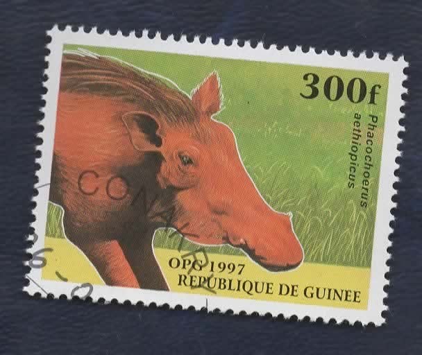 Fauna - Dieren - Woestijn Knobbelzwijn - Guinée - (jr.'97), Ophalen of Verzenden, Gestempeld, Dier of Natuur