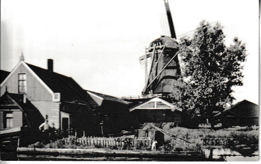 ZAANDAM - ZAAGMOLEN het JONGE SCHAAP - GESLOOPT 1942, Ophalen of Verzenden, 1940 tot 1960, Ongelopen, Noord-Holland