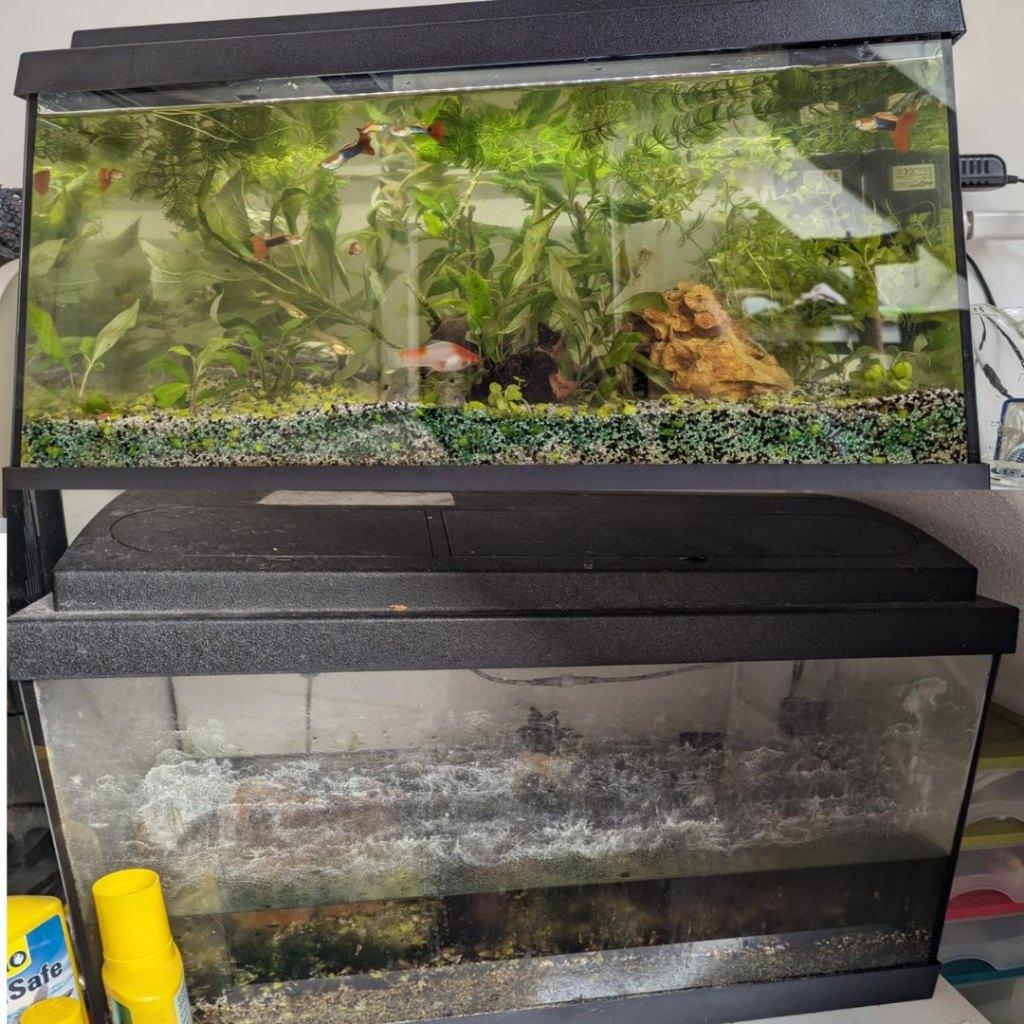 ~55L Aquarium with filter and lid, Ophalen, Pomp, Gebruikt, Leeg aquarium