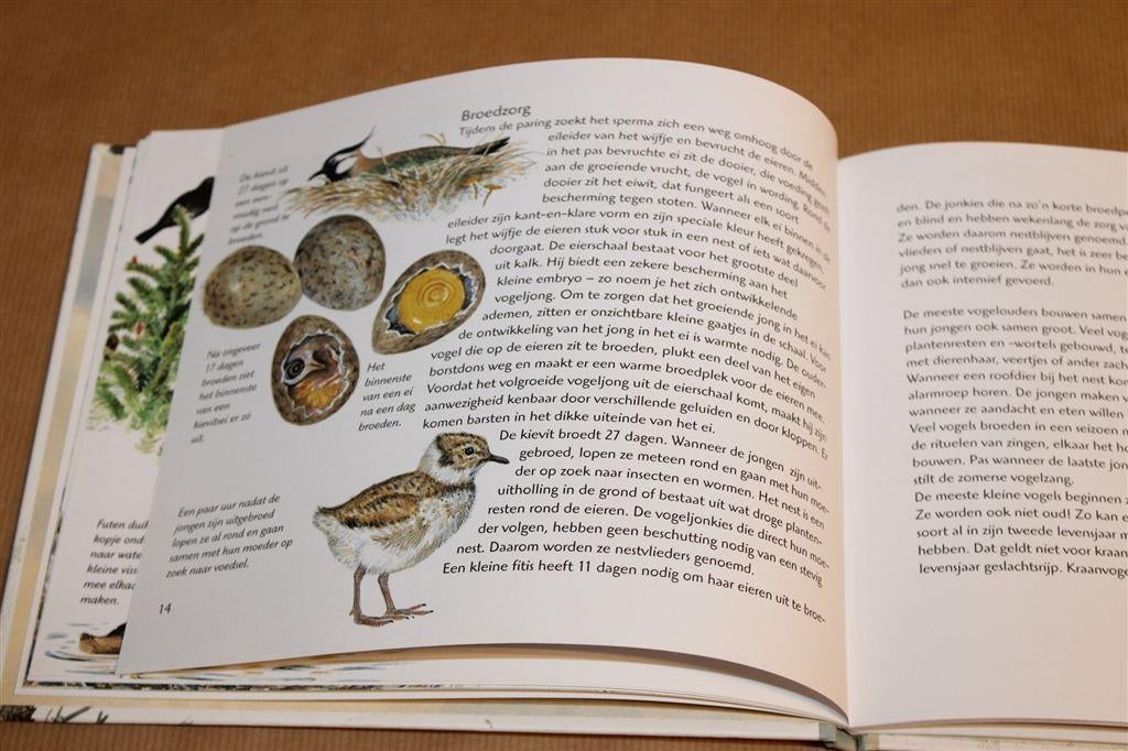Kijken naar Vogels — Leer Vogels Herkennen en Ontdekken, Boeken, Ophalen of Verzenden, Gelezen, Vogels