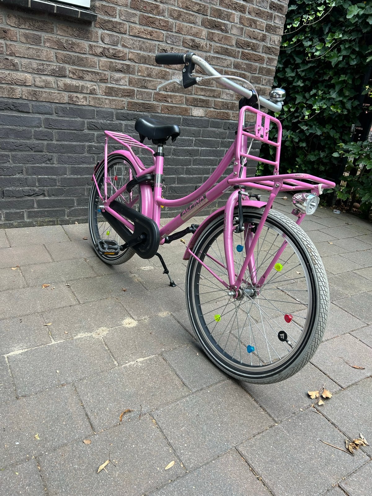 Kinderfiets - Alpina Cargo fiets - 22 inch - Roze, Ophalen, Gebruikt, 22 inch