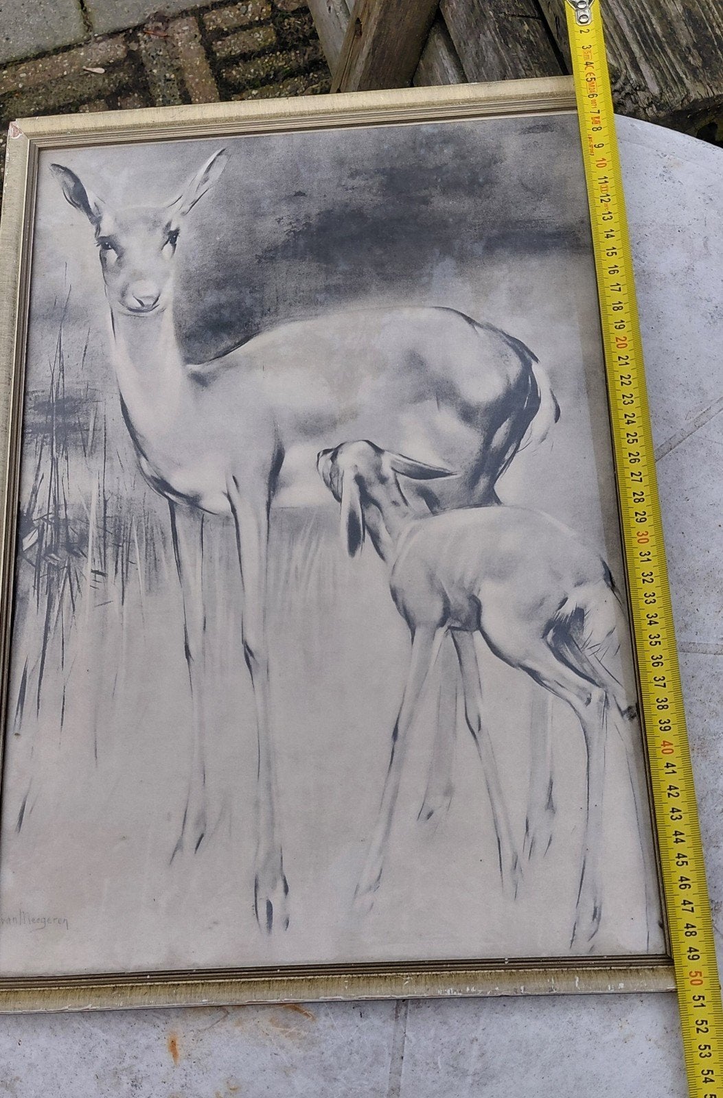 Vintage tekening hertje H.van Meegeren, Antiek en Kunst, Ophalen of Verzenden, Tekening, Potloodtekening, Gesigneerd