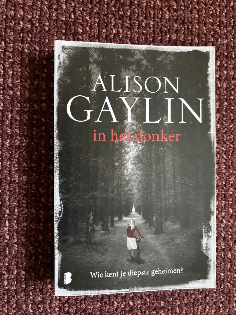 Alison Gaylin, In het donker, Ophalen of Verzenden, Gelezen