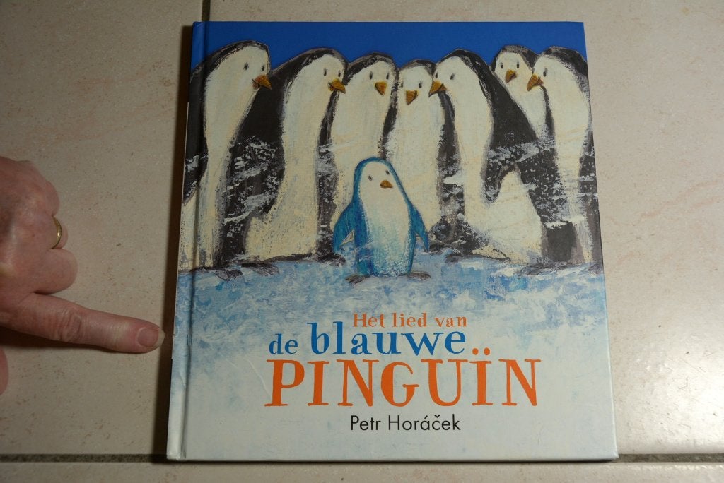 Het lied van de blauwe Pinguïn / Petr Horàcek, Ophalen of Verzenden, Gelezen, Fictie algemeen, Voorleesboek