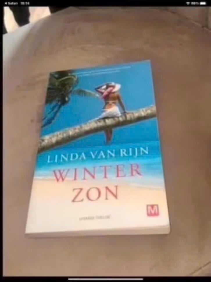 Winter Zon - Linda van Rijn (Roman), Linda van Rijn, Ophalen of Verzenden, Zo goed als nieuw, Nederland