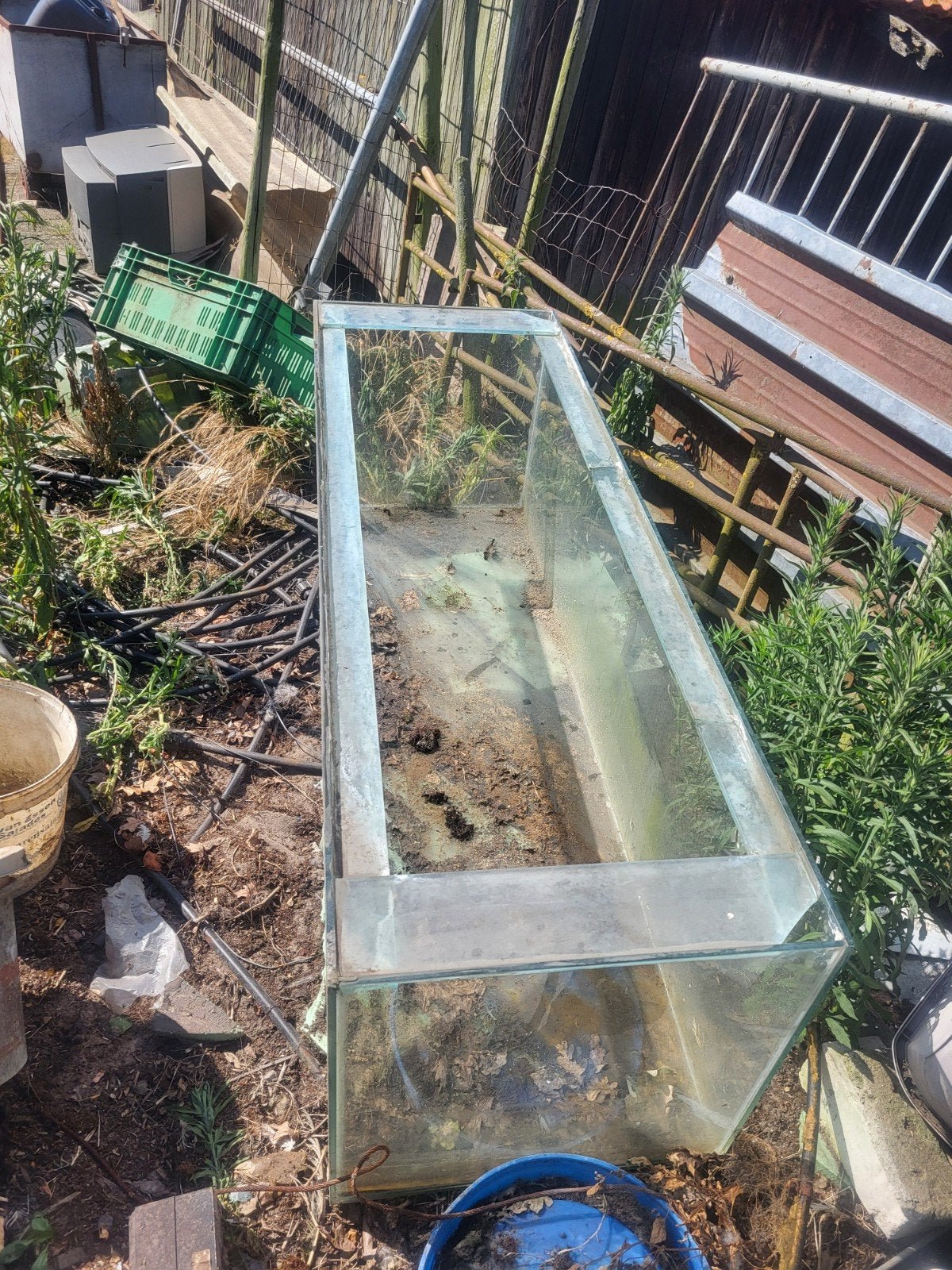 Terrarium, Dieren en Toebehoren, Reptielen en Amfibieën, 0 tot 2 jaar