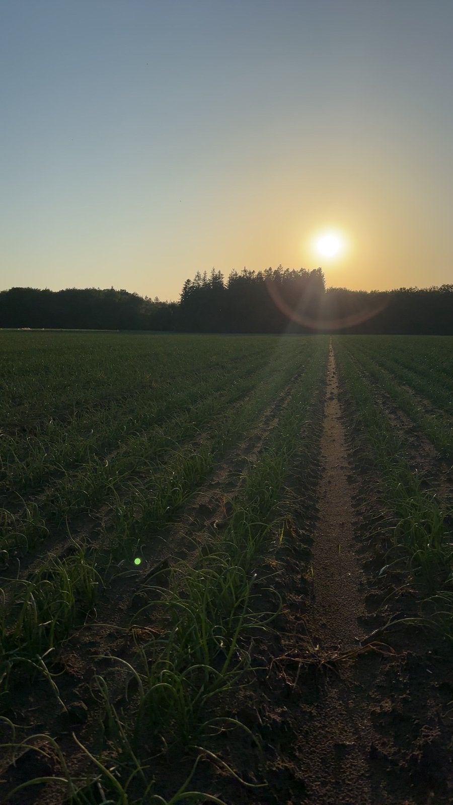 GEZOCHT Landbouwgrond 2027 teelt akkerbouwgewassen, Ophalen of Verzenden, Akkerbouwbedrijf