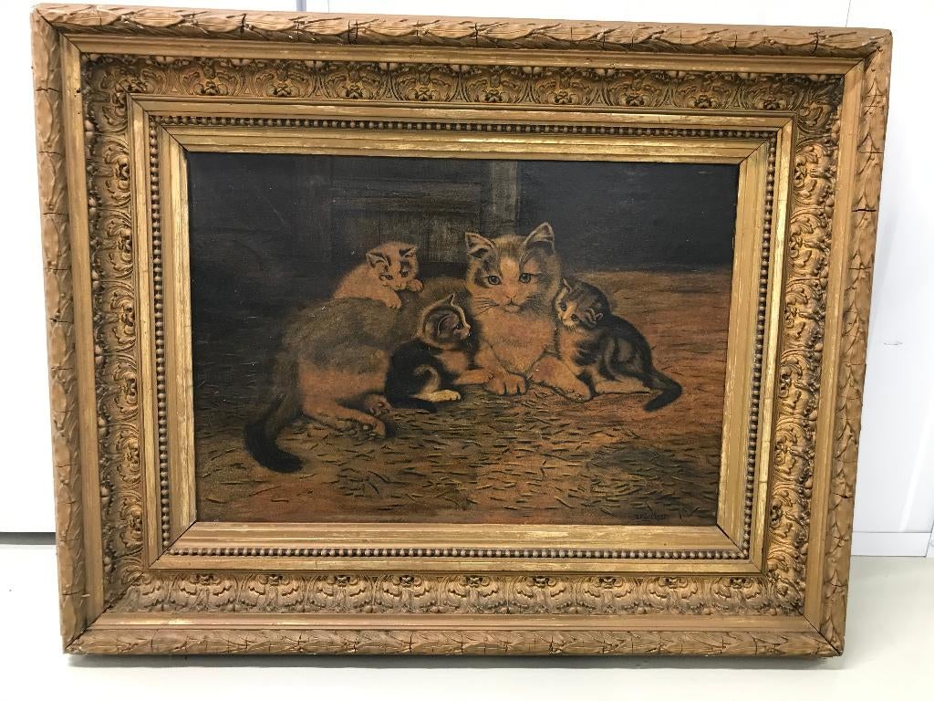 olieverf oliegrafie katten op paneel, Ophalen of Verzenden