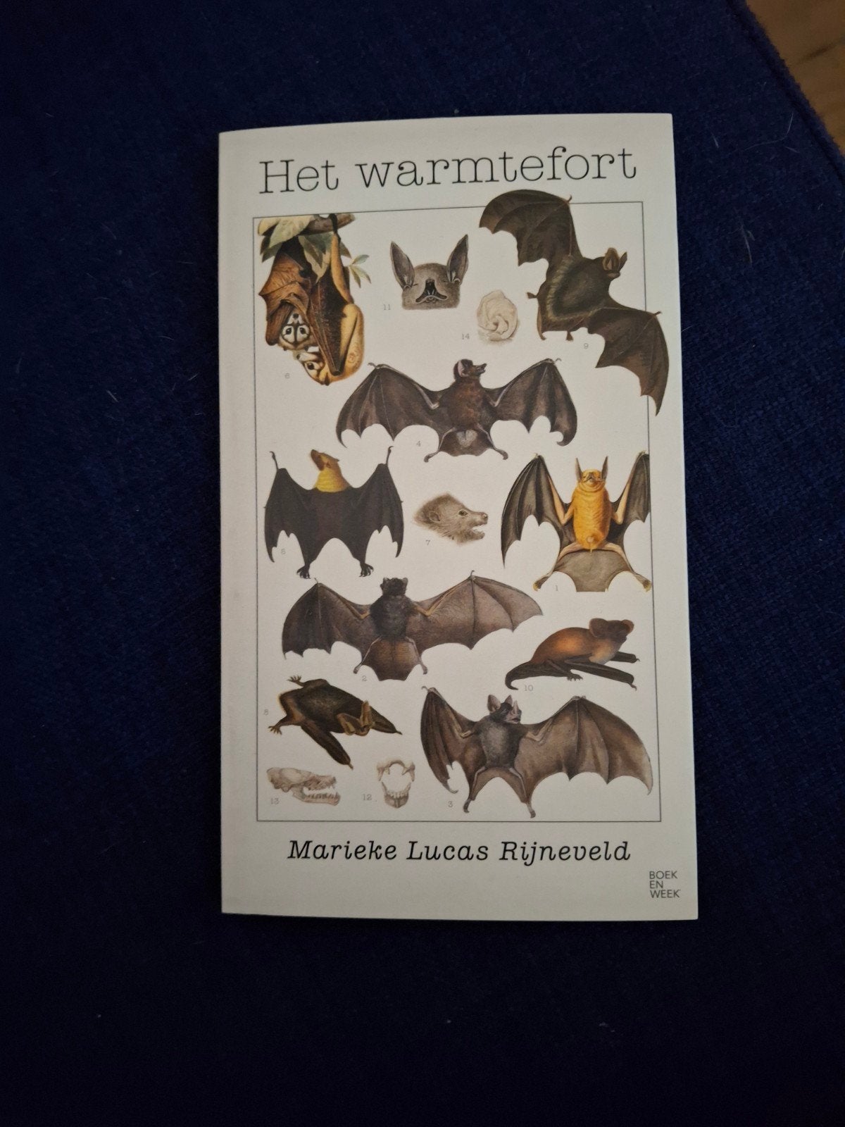 Marieke Lucas Rijneveld - Het warmtefort, Boeken, Literatuur, Ophalen of Verzenden, Zo goed als nieuw, Marieke Lucas Rijneveld