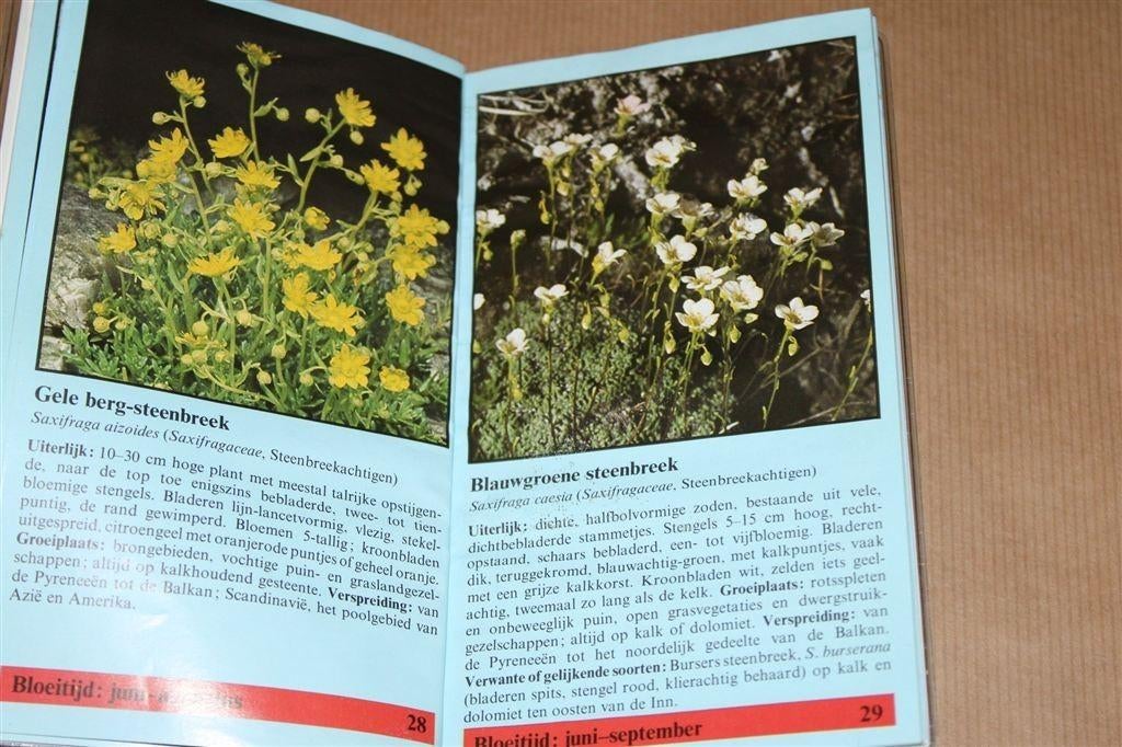 Elseviers natuurkompas. Alpenbloemen. Herkennen..., Boeken, Ophalen of Verzenden, Gelezen, Bloemen, Planten en Bomen