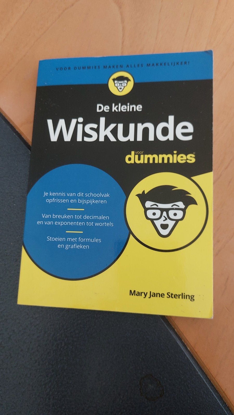 De kleine Wiskunde voor Dummies - Mary Jane Sterling, Boeken, Ophalen, Zo goed als nieuw, Mary Jane Sterling, Beta