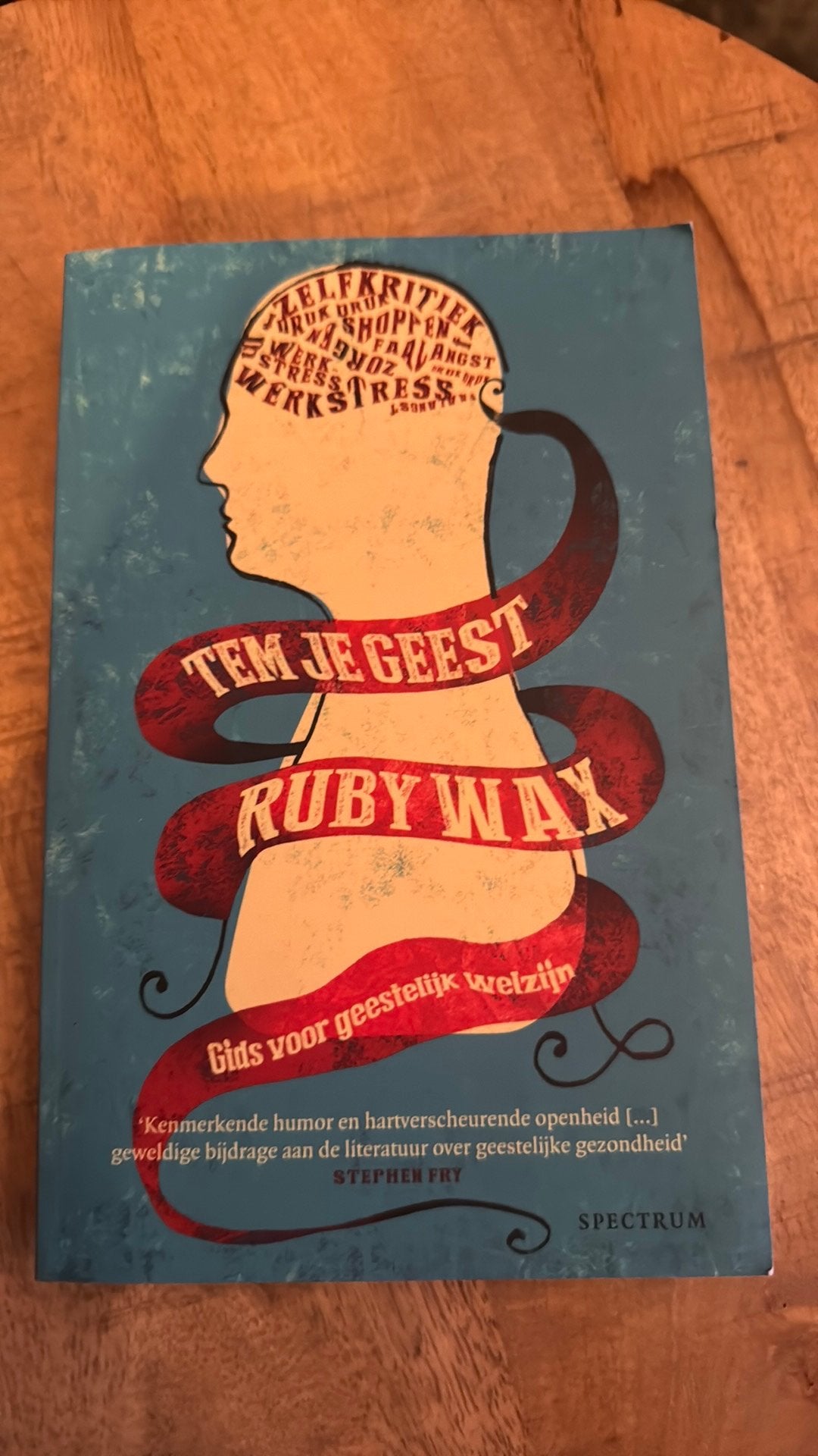 Ruby Wax - Tem je geest, Boeken, Ophalen of Verzenden, Zo goed als nieuw, Ruby Wax