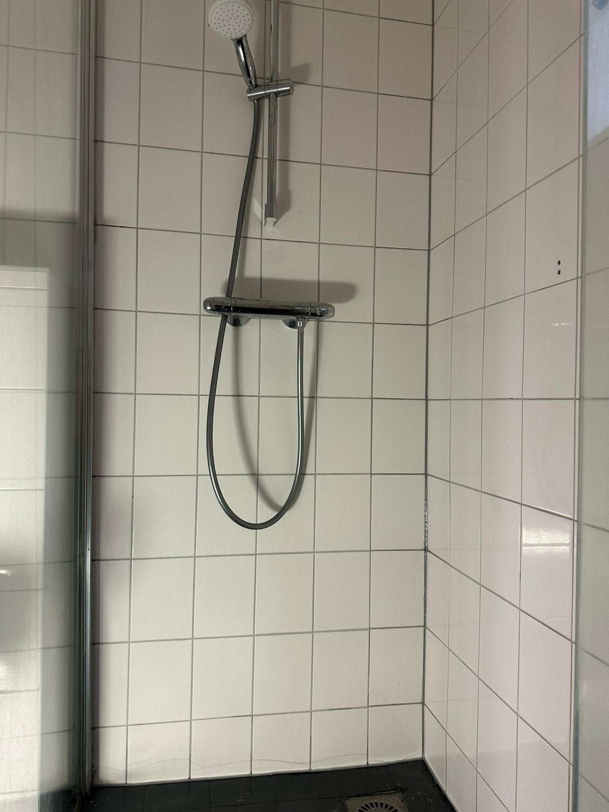 Kitter gezocht?, Huis en Inrichting, Ophalen of Verzenden, Nieuw