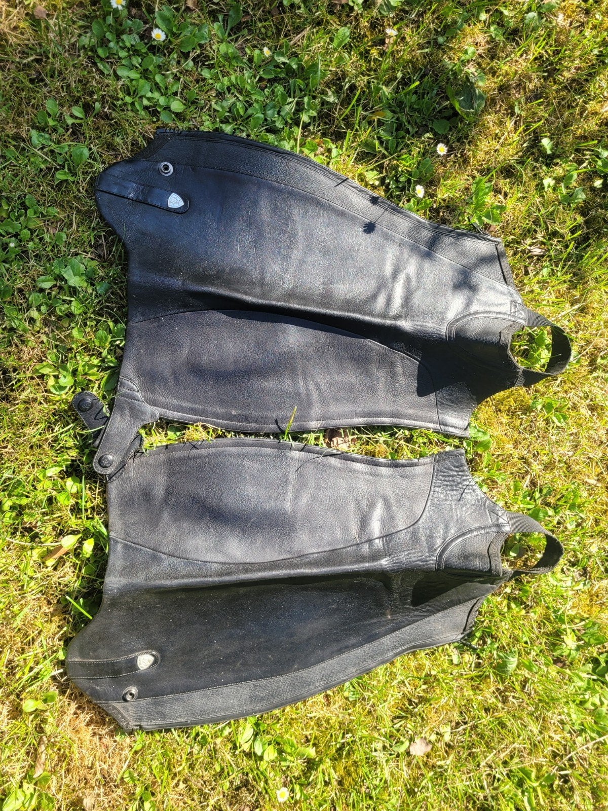Ariat Monaco chaps maat xsm, Ritssluiting, Nieuw, Ophalen of Verzenden, Ariat