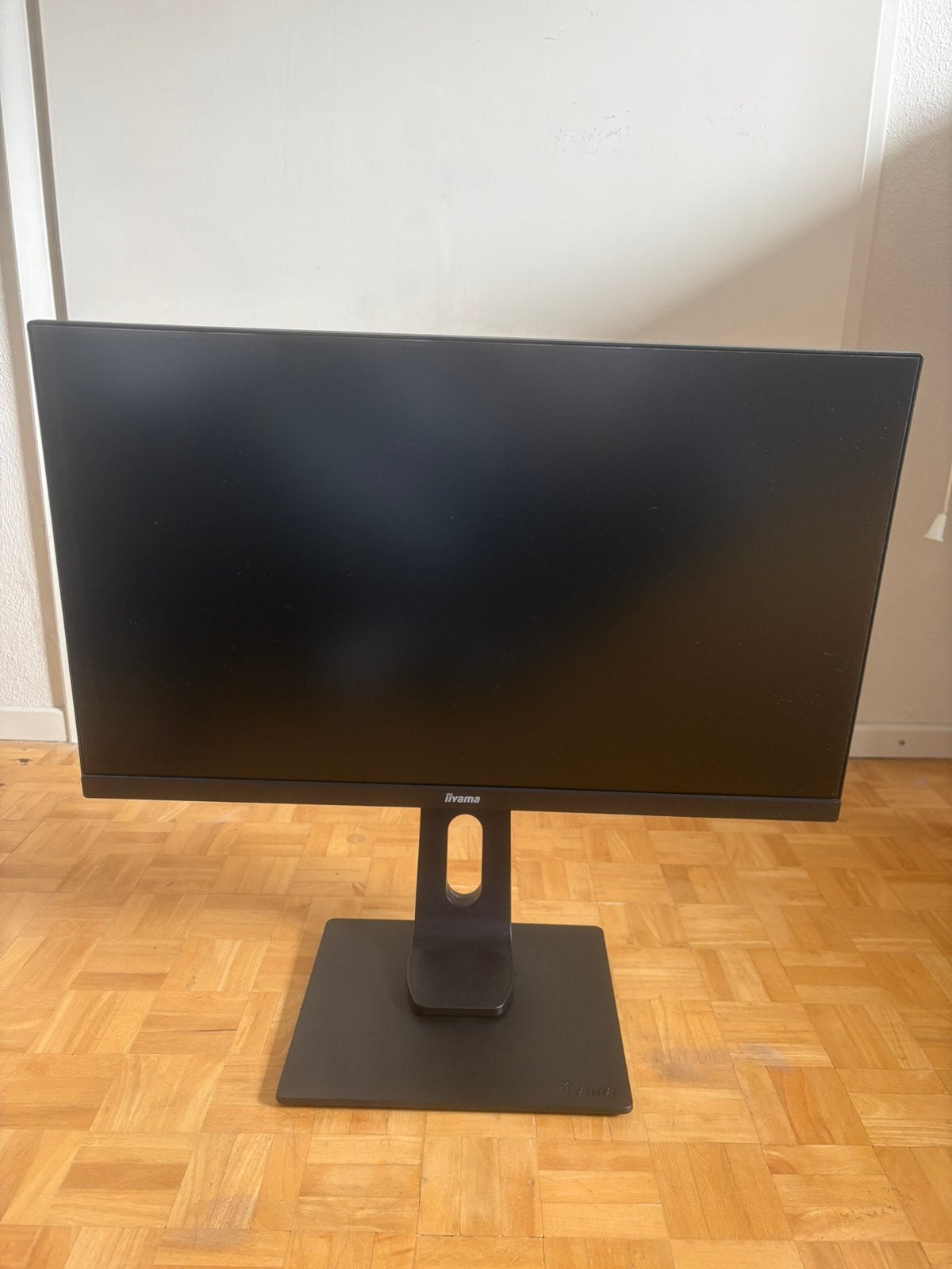 iiyama ProLite X2493HSU-B1, Ophalen of Verzenden, Zo goed als nieuw, Full HD