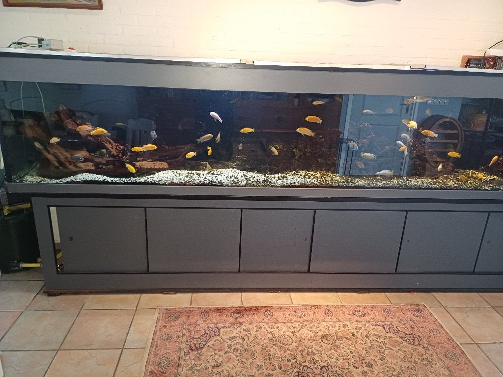 aquarium, Ophalen, Gebruikt