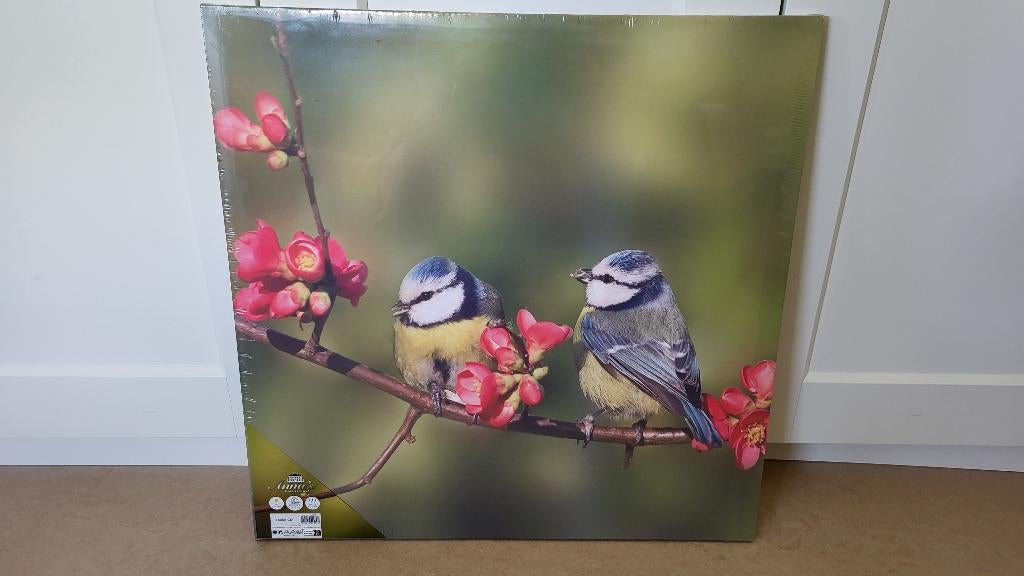 Tuinschilderij / buitencanvas 58 x 58 cm - NIEUW, Ophalen, 50 tot 75 cm, Nieuw, Foto of Poster