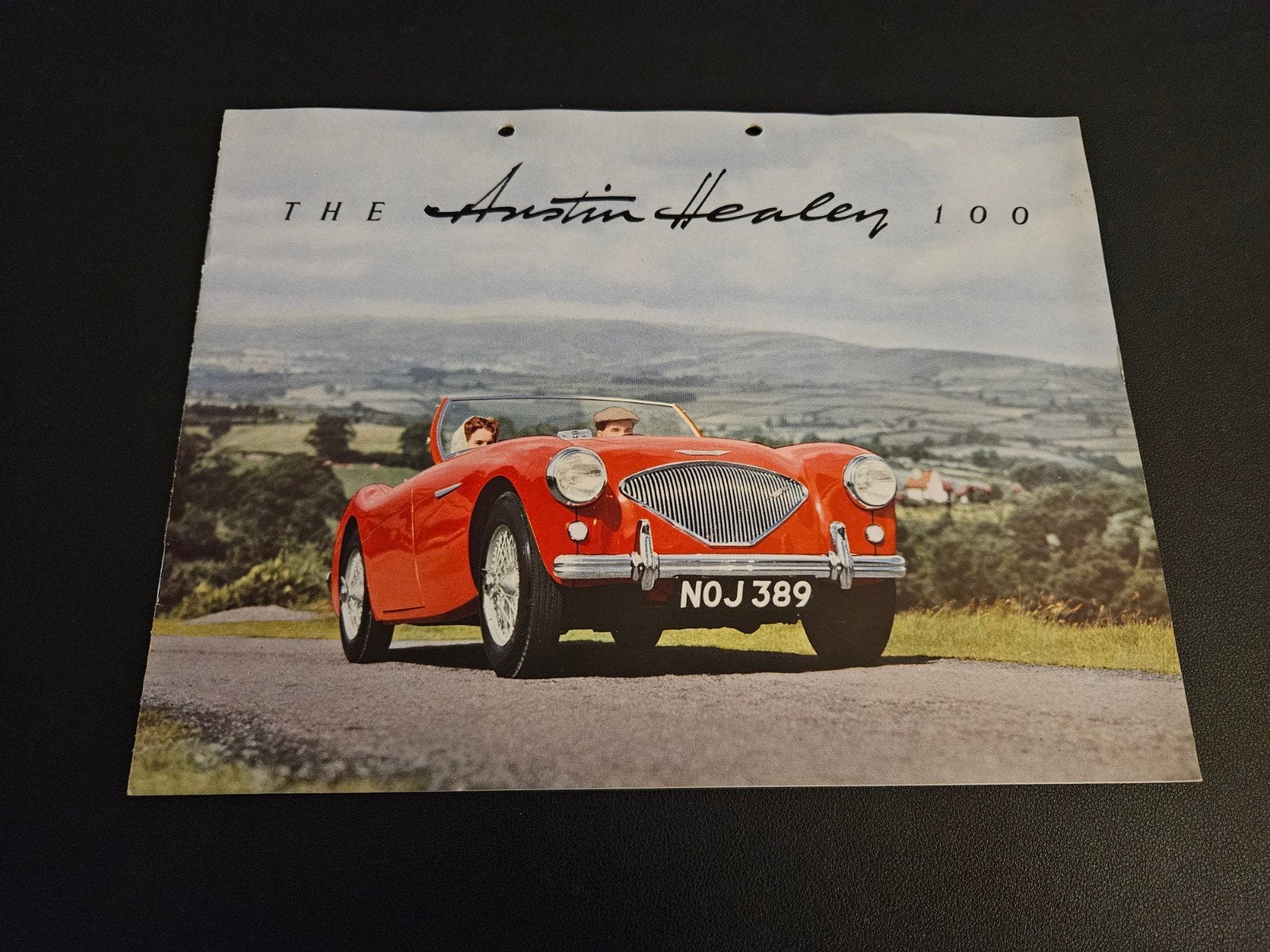 Brochure Austin Healey 100, Ophalen of Verzenden, Zo goed als nieuw, Overige merken