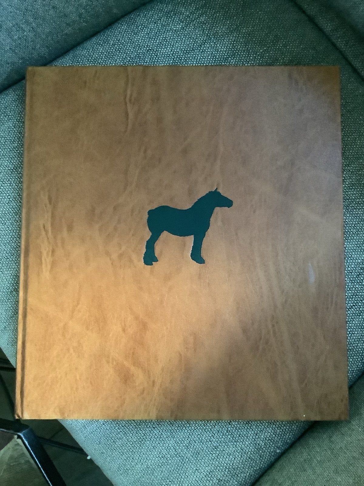 Boek met paardenafbeelding - Zo goed als nieuw, Ophalen of Verzenden, Gelezen, Paarden of Pony's