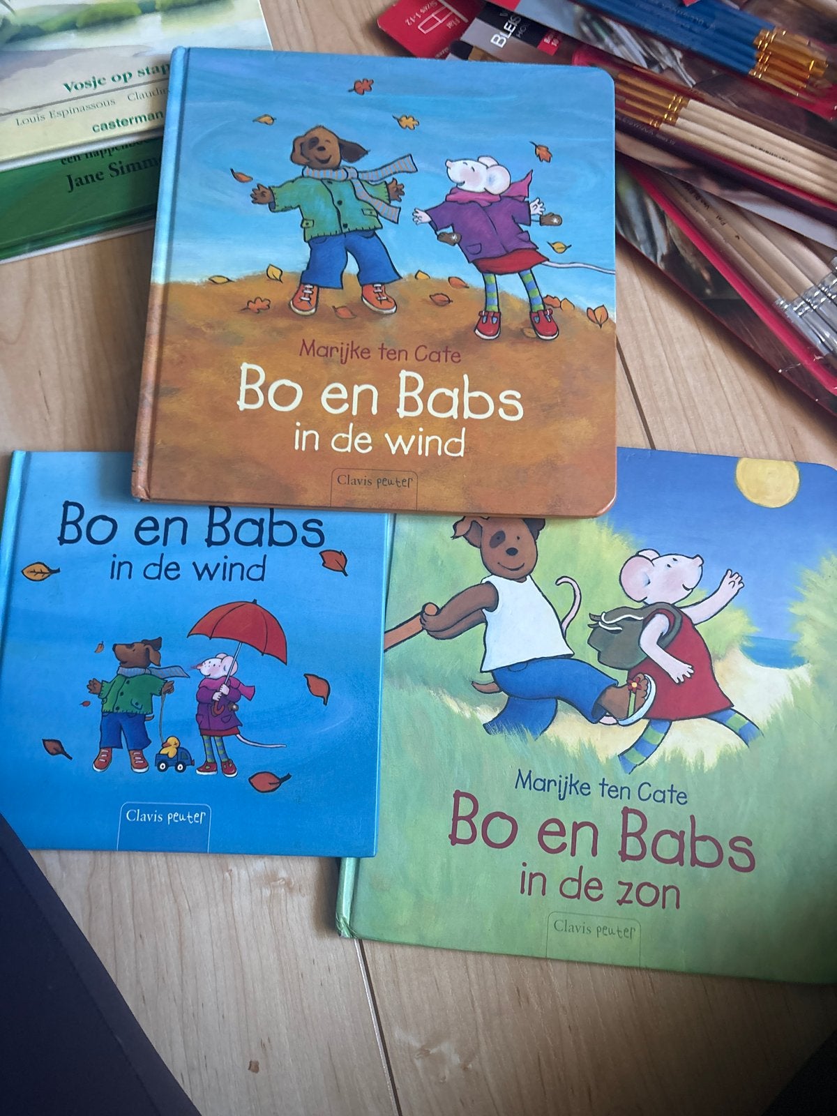 Bo en Babs Boekenset - In de wind & In de zon, Boeken, Ophalen of Verzenden, Zo goed als nieuw, 2 tot 3 jaar