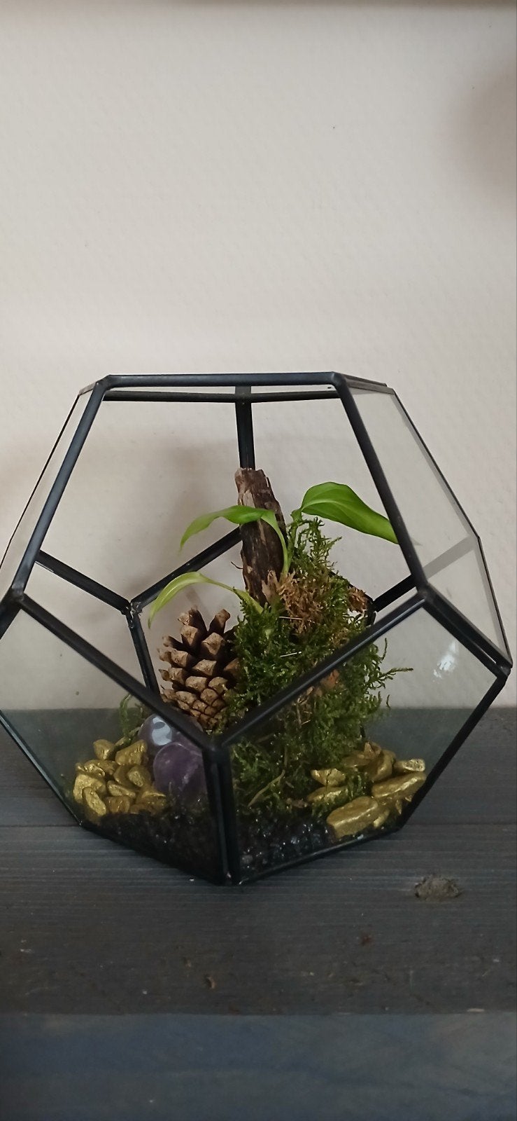 Terrarium met Amethist en plantje, Huis en Inrichting, Kamerplanten, Overige soorten, Minder dan 100 cm, Groene kamerplant, Halfschaduw