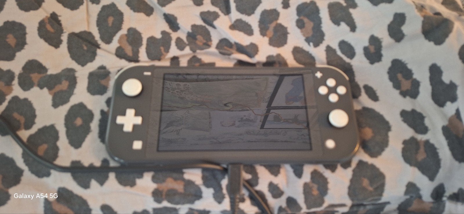 Nintendo Switch Lite met oplader en gratis spellen, Spelcomputers en Games, Ophalen, Grijs, Gebruikt, Met beschermhoes of tas