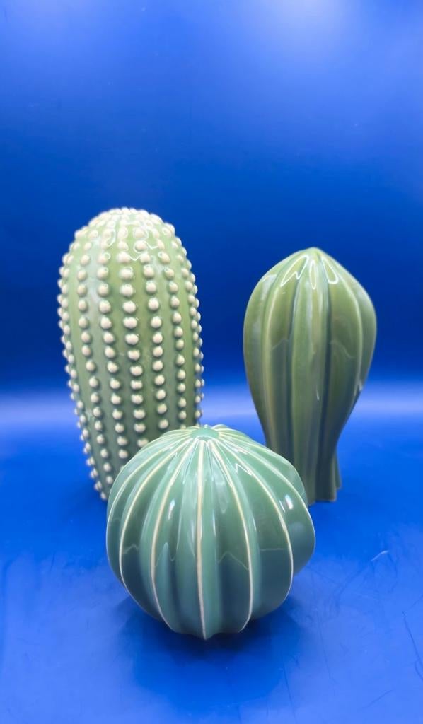 Leuke beelden set van 3 cactussen, Ophalen of Verzenden, Nieuw