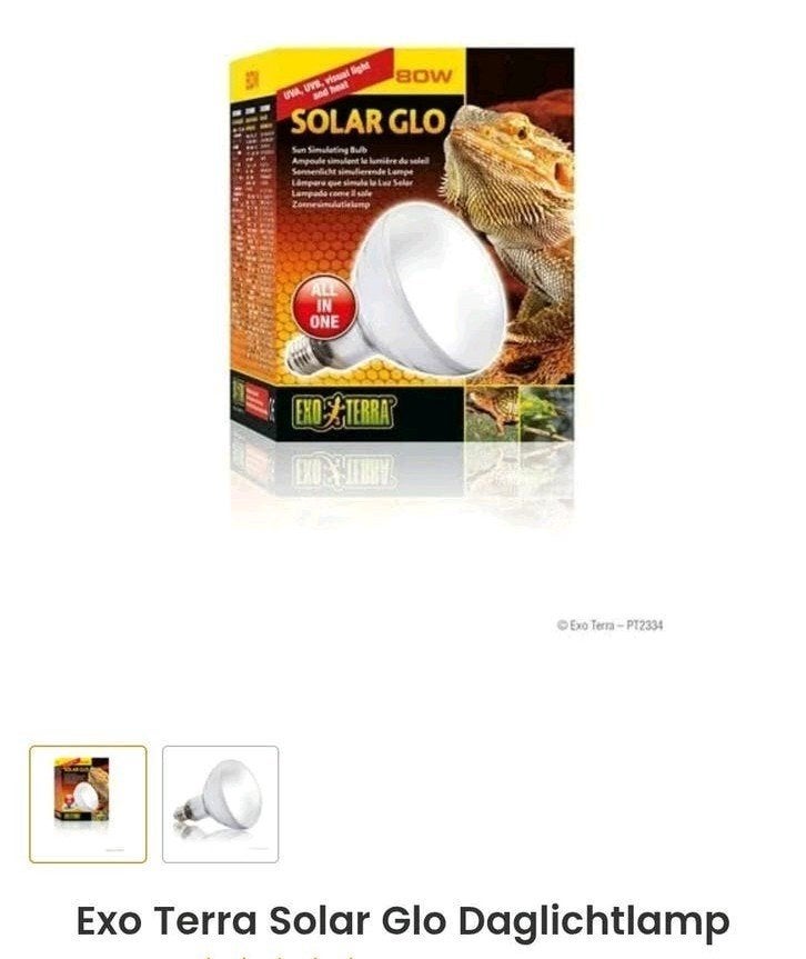 Splinternieuwe Exo Terra Solar Glo lamp met UVB en UVA, Ophalen, Nieuw, Verlichting