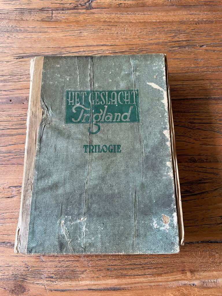 Het Geslacht Trigland - Trilogie door Kathinka Lannoy, Boeken, Ophalen of Verzenden, Gelezen, Nederland
