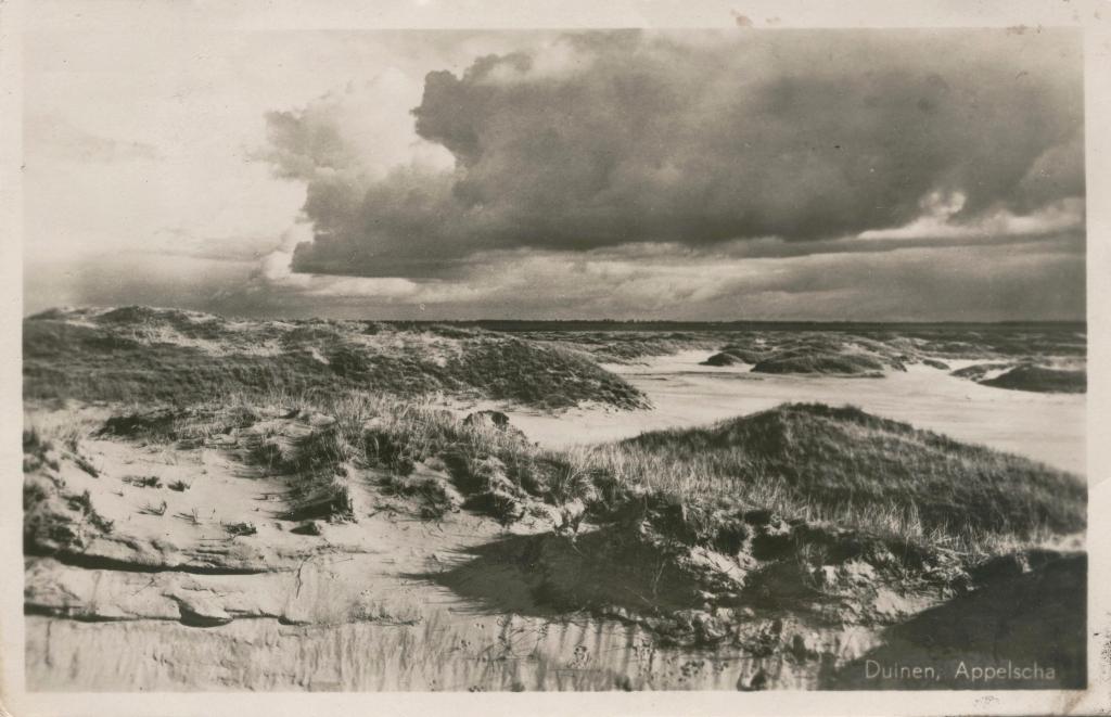 Appelscha Duinen 1949, Verzenden, 1940 tot 1960, Gelopen, Friesland