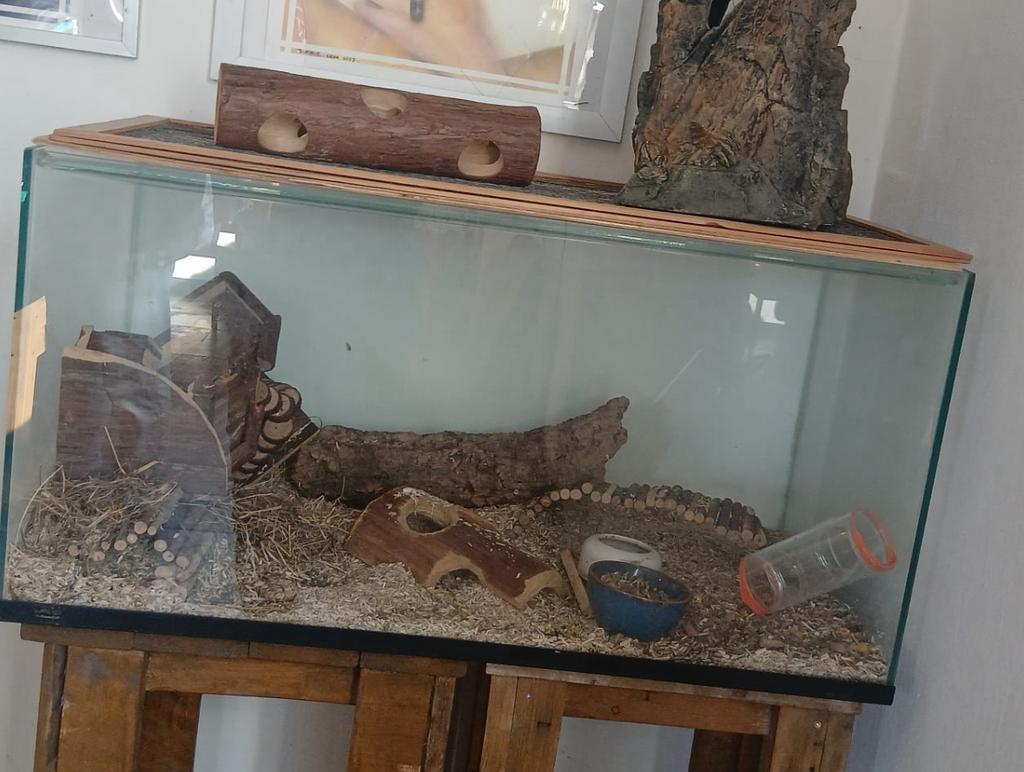 hamster hok, Dieren en Toebehoren, Knaagdieren en Konijnen | Hokken en Kooien, Gebruikt, 60 tot 90 cm, Minder dan 75 cm, Ophalen of Verzenden