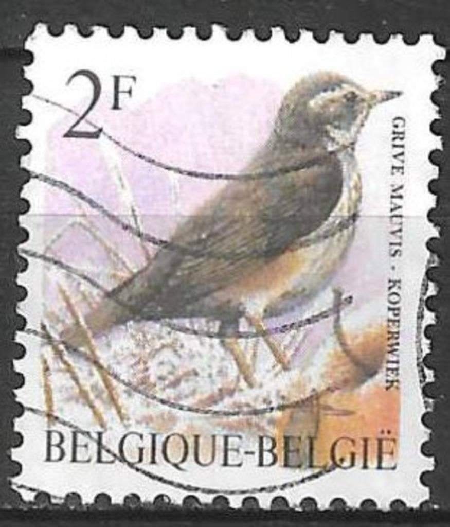 Belgie 1996 - Yvert 2646 /OBP 2653 - Buzin - Koperwiek (ST), Verzenden, Gestempeld, Voertuigen