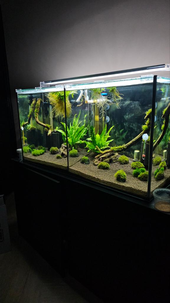 Nieuw Marina volglas aquarium | 200 L, Ophalen, Nieuw, Overige merken, Gevuld zoetwateraquarium