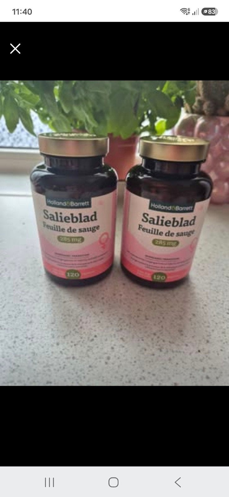 Holland & Barrett Salieblad Capsules 285mg - 120 stuks, Ophalen of Verzenden, Nieuw, Overige typen