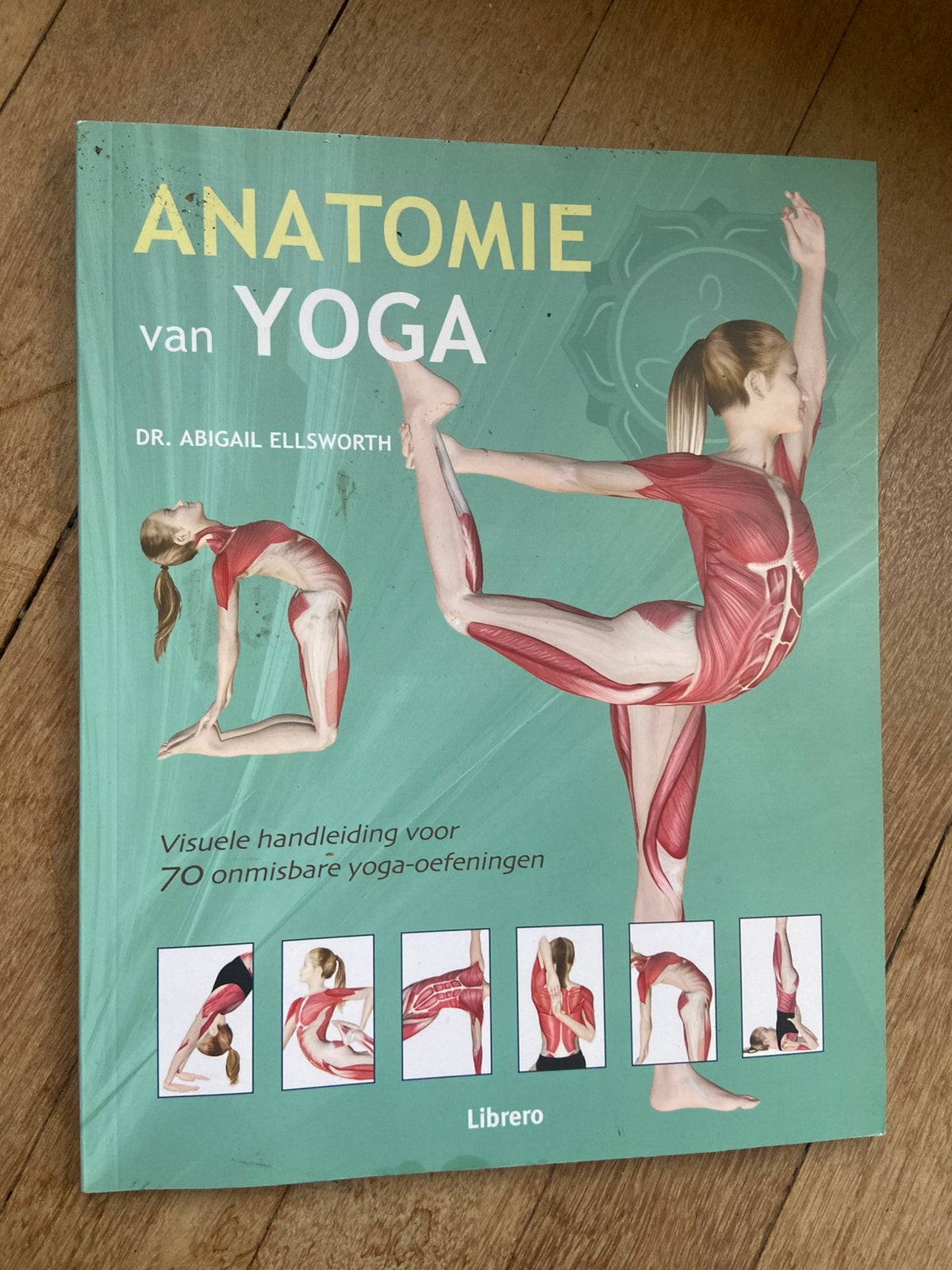 Anatomie  boeken, Ophalen of Verzenden, Gelezen, Overige sporten